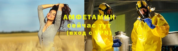 шишки Абинск