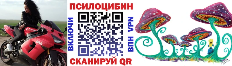 Галлюциногенные грибы Psilocybine cubensis Емва